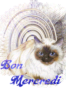 Gif animé Bon mercredi chat